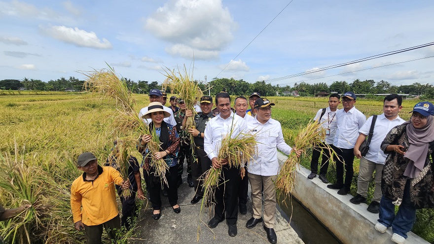 Harga Gabah Anjlok, Titiek Soeharto Ingatkan Bulog