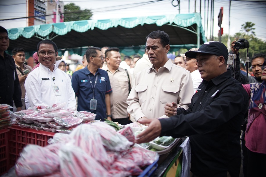 Pantau Langsung, Mentan Amran dan Wamentan Tinjau Operasi Pasar Pangan Murah di Magelang