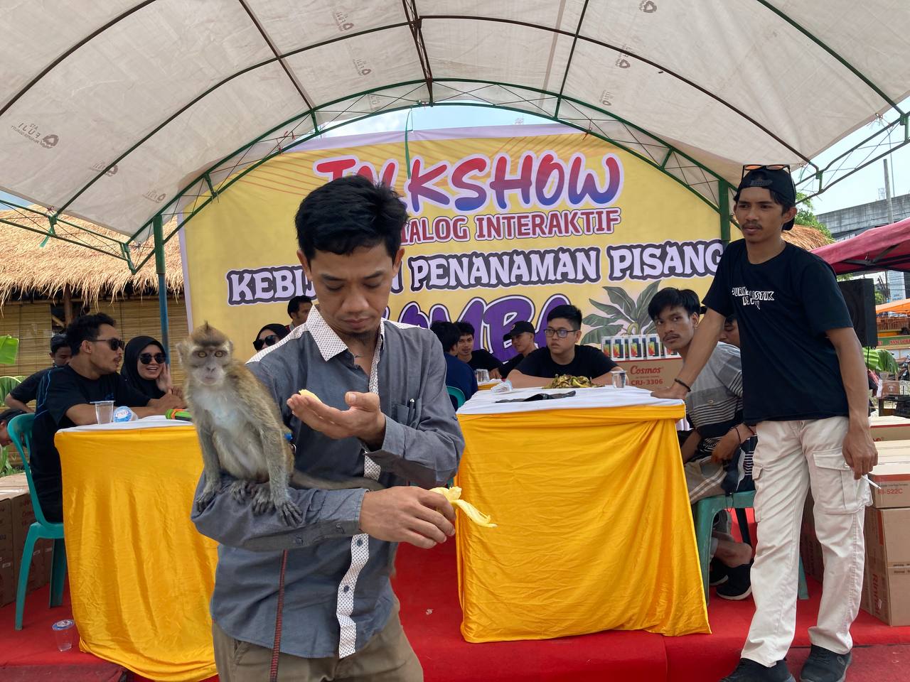 Lomba Makan Pisang, Lanceng Ikut Menikmati